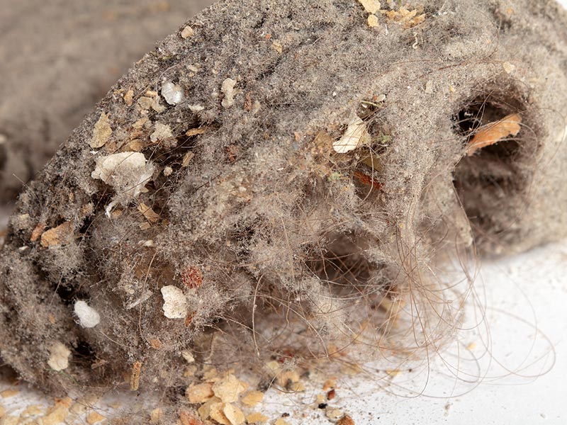 081d64ef-02ed-4f0c-9b93-01efd5d21c5f