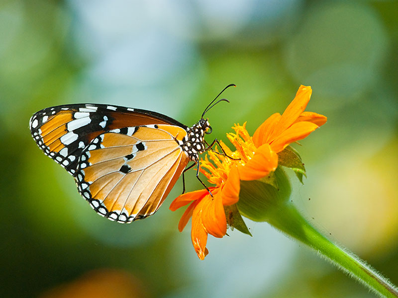 157934c2-2458-4df4-873e-53b5a3dbfca3