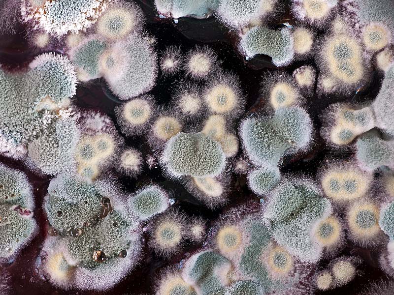 2e4afa3a-2605-4a4d-9c48-016e9d14d5eb