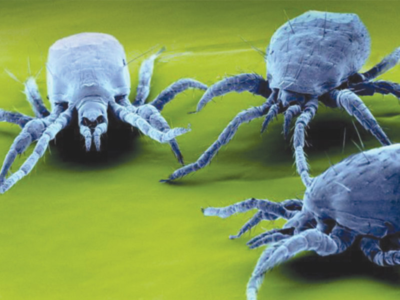 d9056dbf-a4af-4af2-bc6e-c6328f3f2ceb