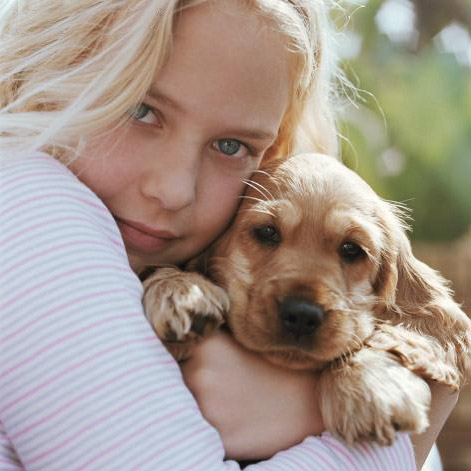 e0c2f3c7-f52a-4d3d-93be-bf9e1abfd805