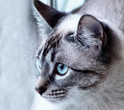 fe470184-c189-48cc-b1b5-0584bd702812